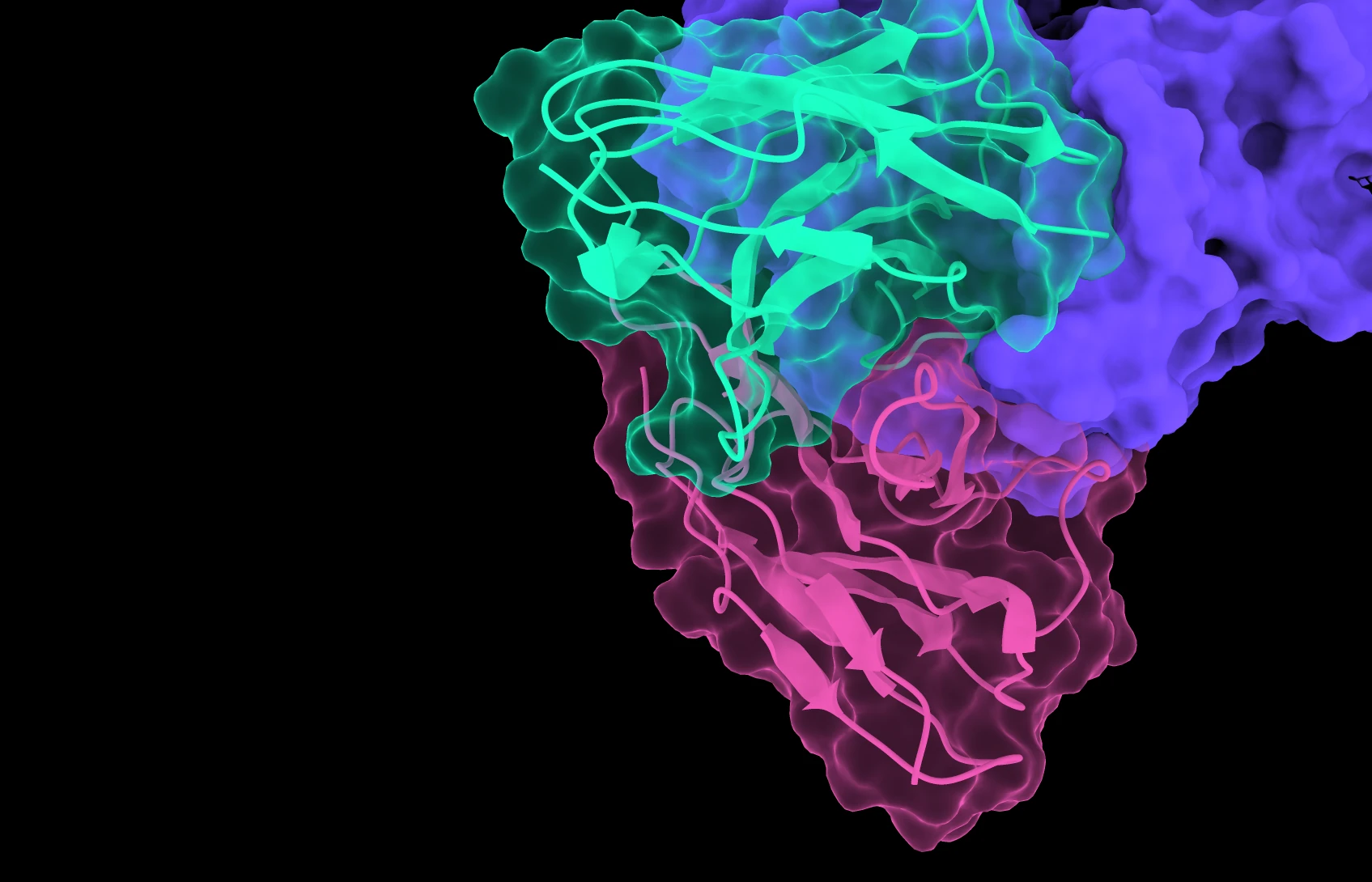 Antibody Discovery Workflows