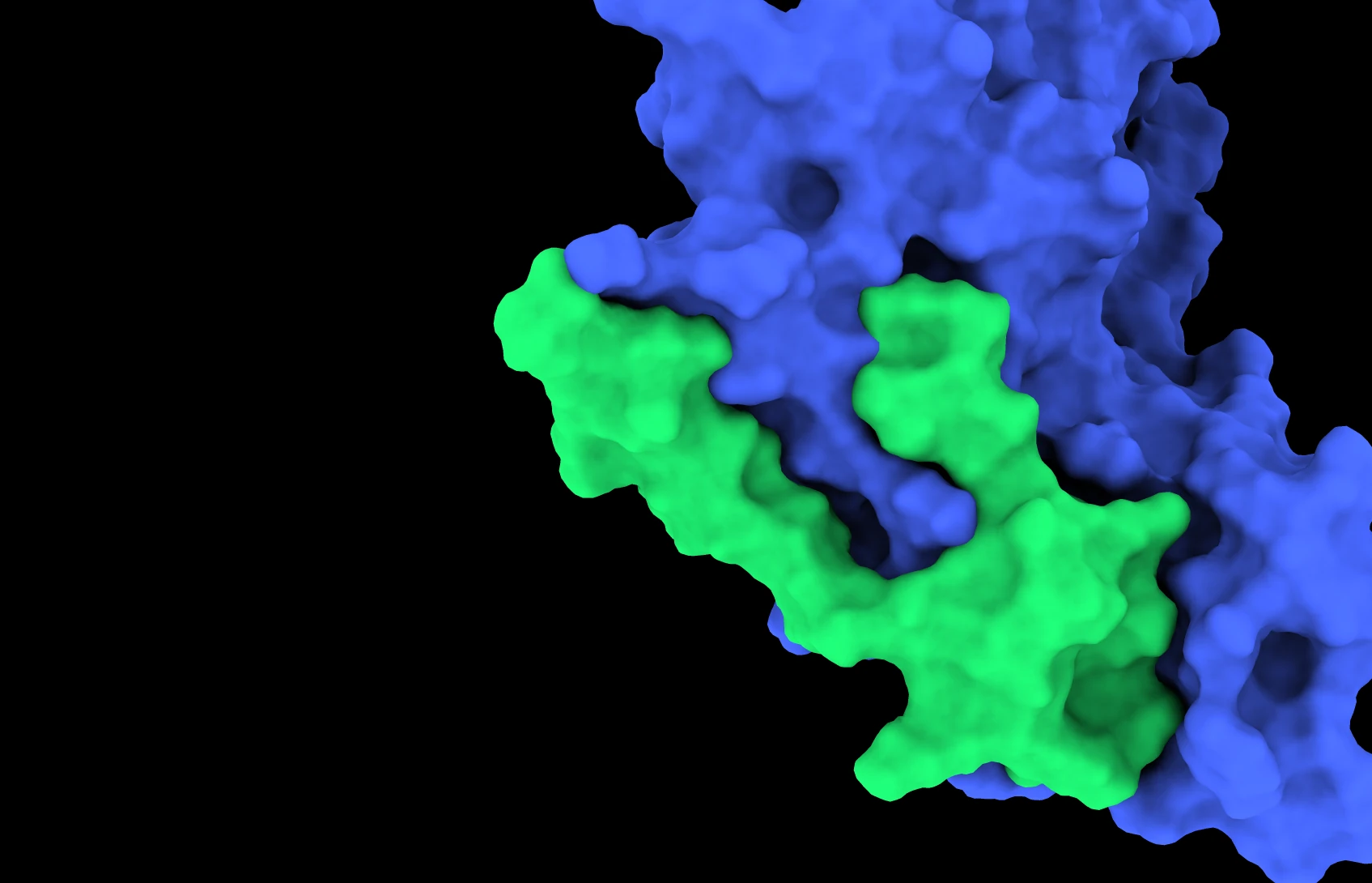 Peptide Design Workflows